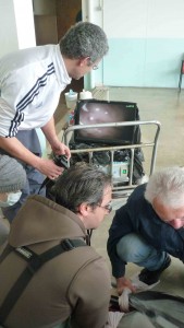 endoscopia per sito